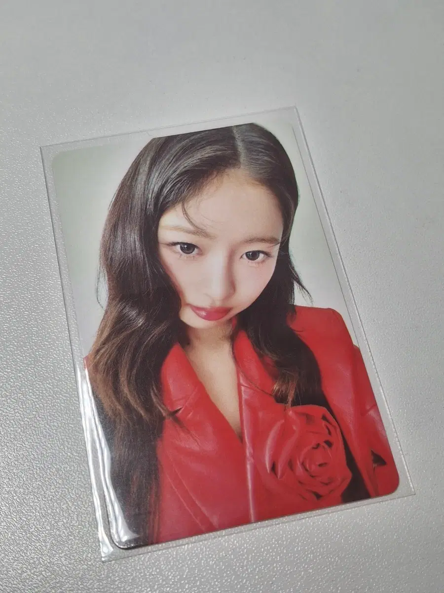 아이브 파파존스 레이 포카