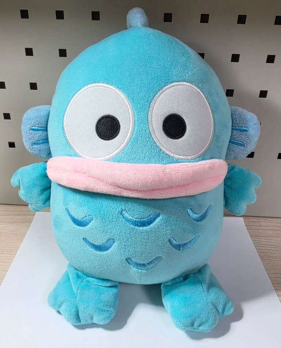 인형뽑기_산리오 한교동 인형