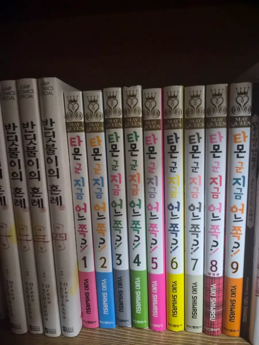 타몬군 지금 어느 쪽? 만화책 1~9권 소책자,엽서,네컷 포함