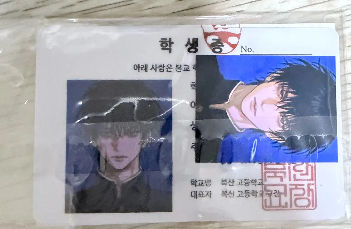 슬램덩크 영큐님 서태웅 학생증 프박 일괄