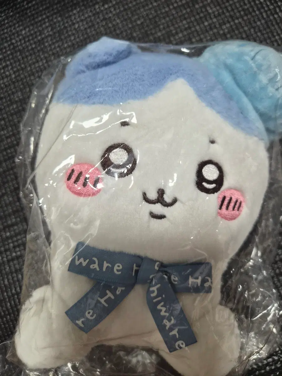 먼작귀 하치와레 도쿄 한정 베레모 누이
