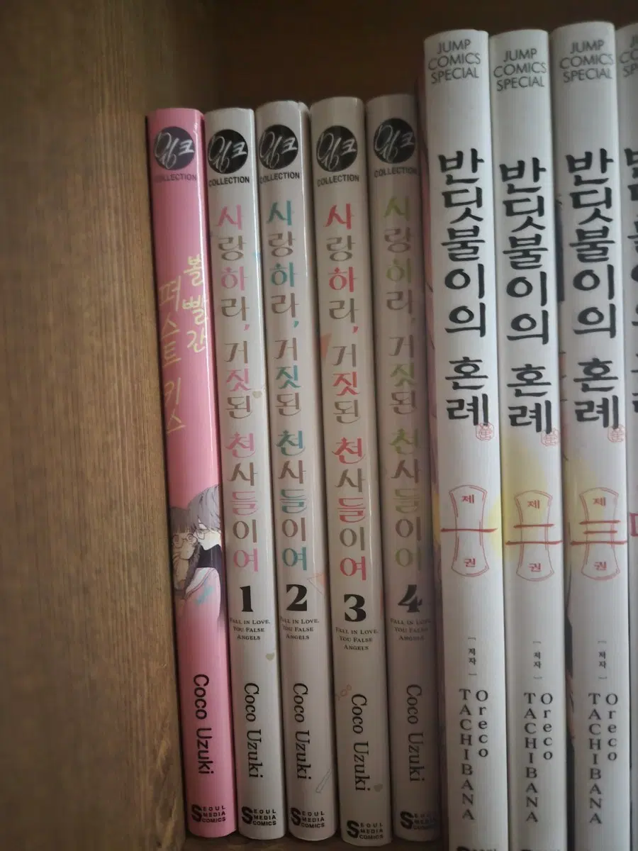 사랑하라, 거짓된 천사들이여 1~4권 반딧불이의 혼례 1~4권
