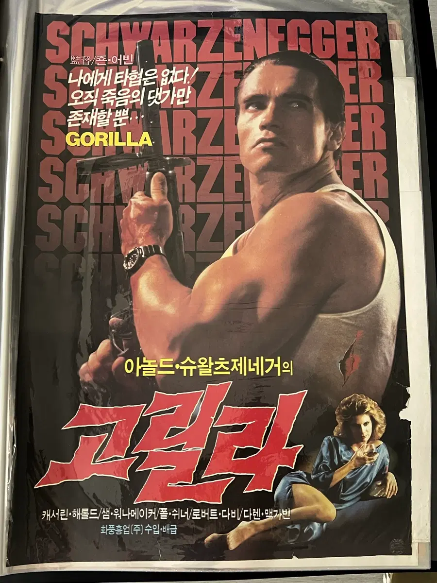 아놀드 슈왈츠제네거 고릴라 영화 포스터