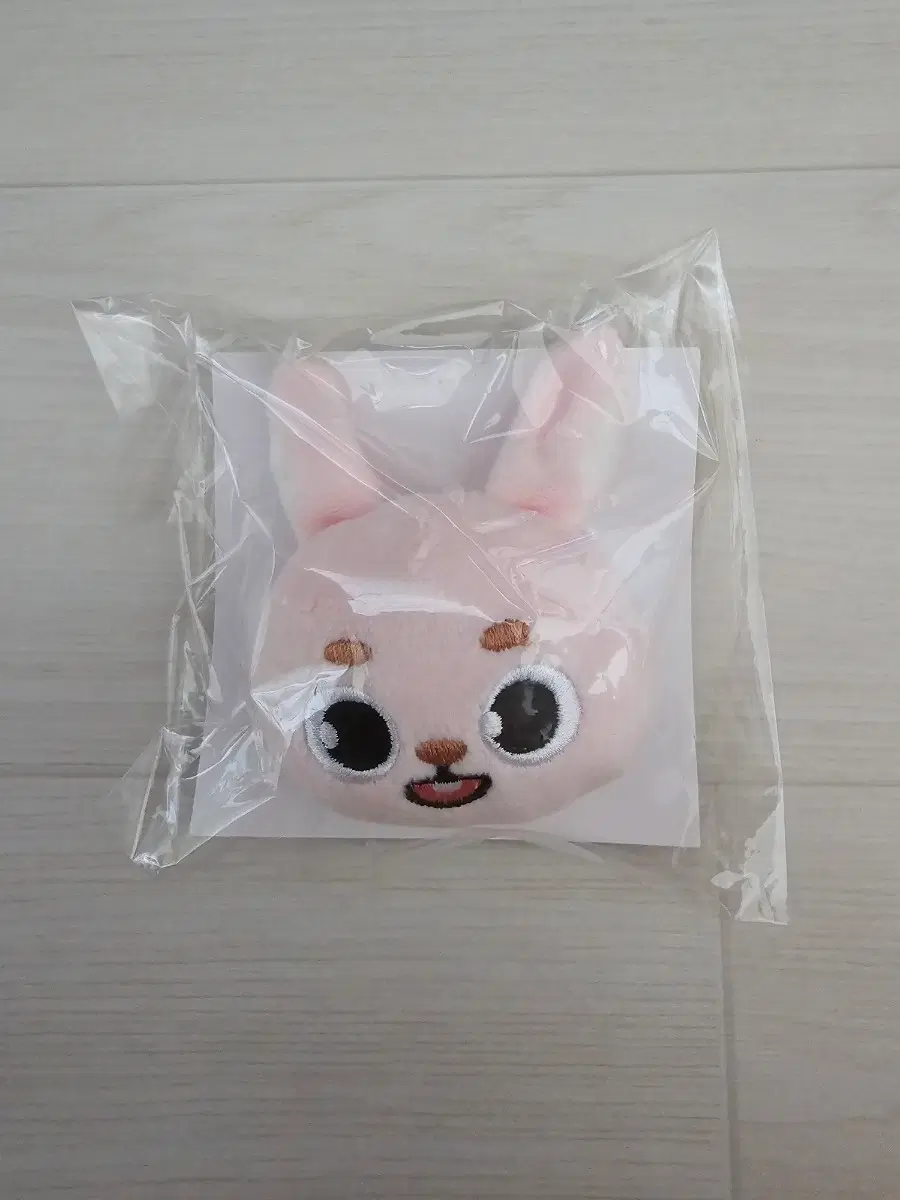 데이식스 원필 필끼 일본 소프트 뱃지