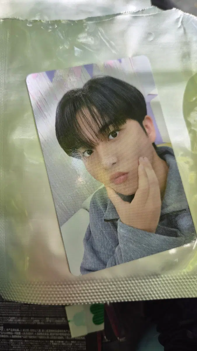 에이티즈 팝업 5만원포카 종호