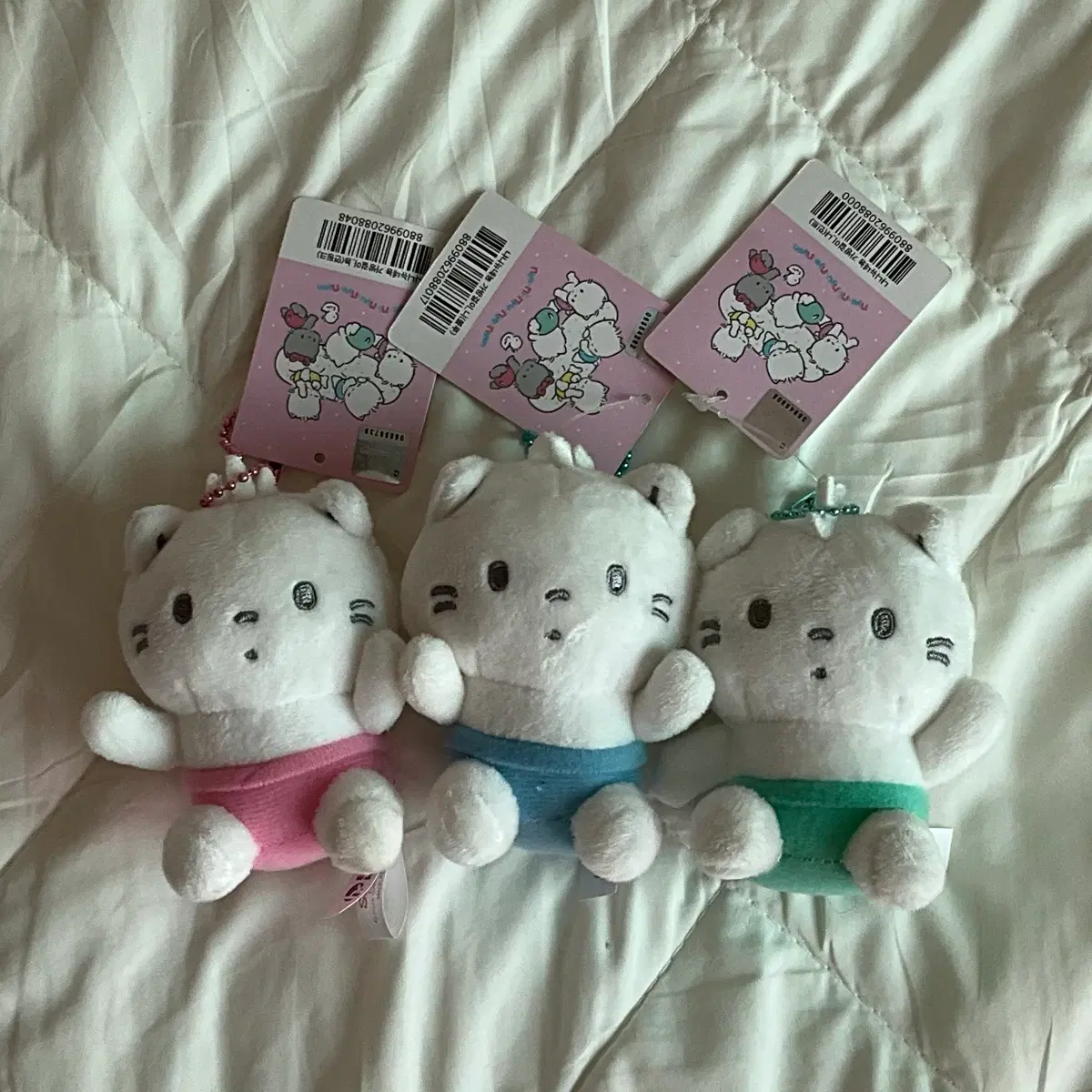 일괄) 냐니뉴녜뇽 산리오 고양이 인형