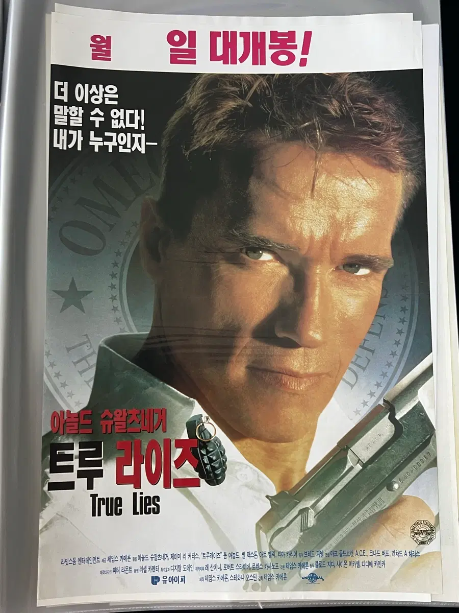 트루 라이즈 영화 포스터 a3
