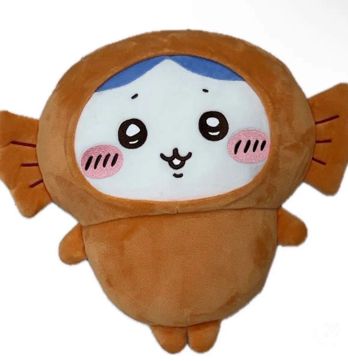 하치와레 잉어 중형 누이 인형 양도