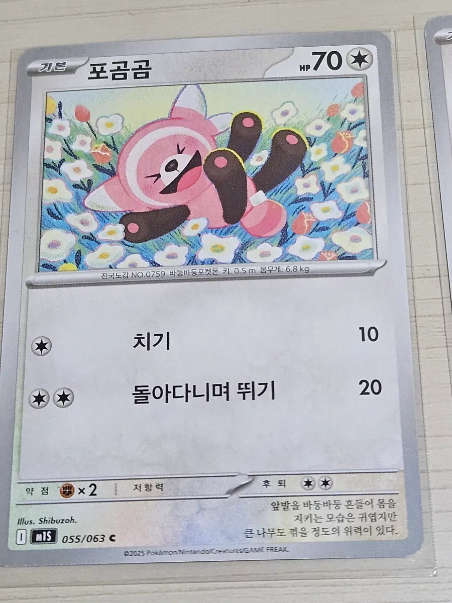 [최저가] 포켓몬 카드 포곰곰 055/063 C