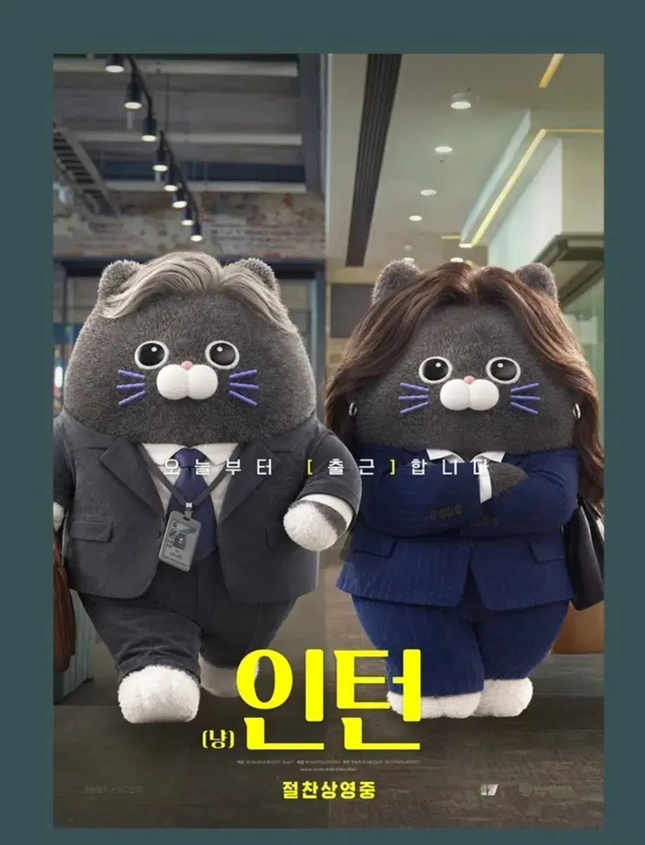 인턴 냥사원포스터