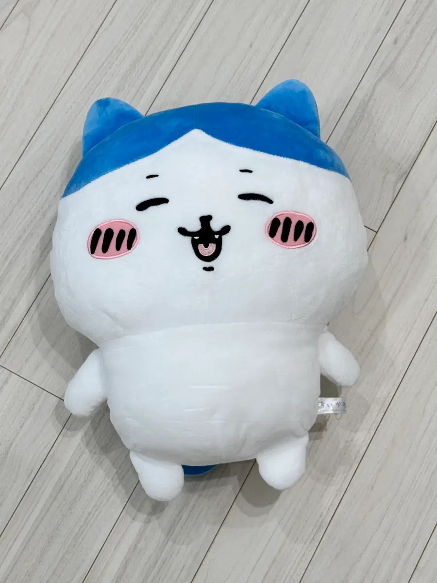 정품 하치와레 대왕 가르마 40cm