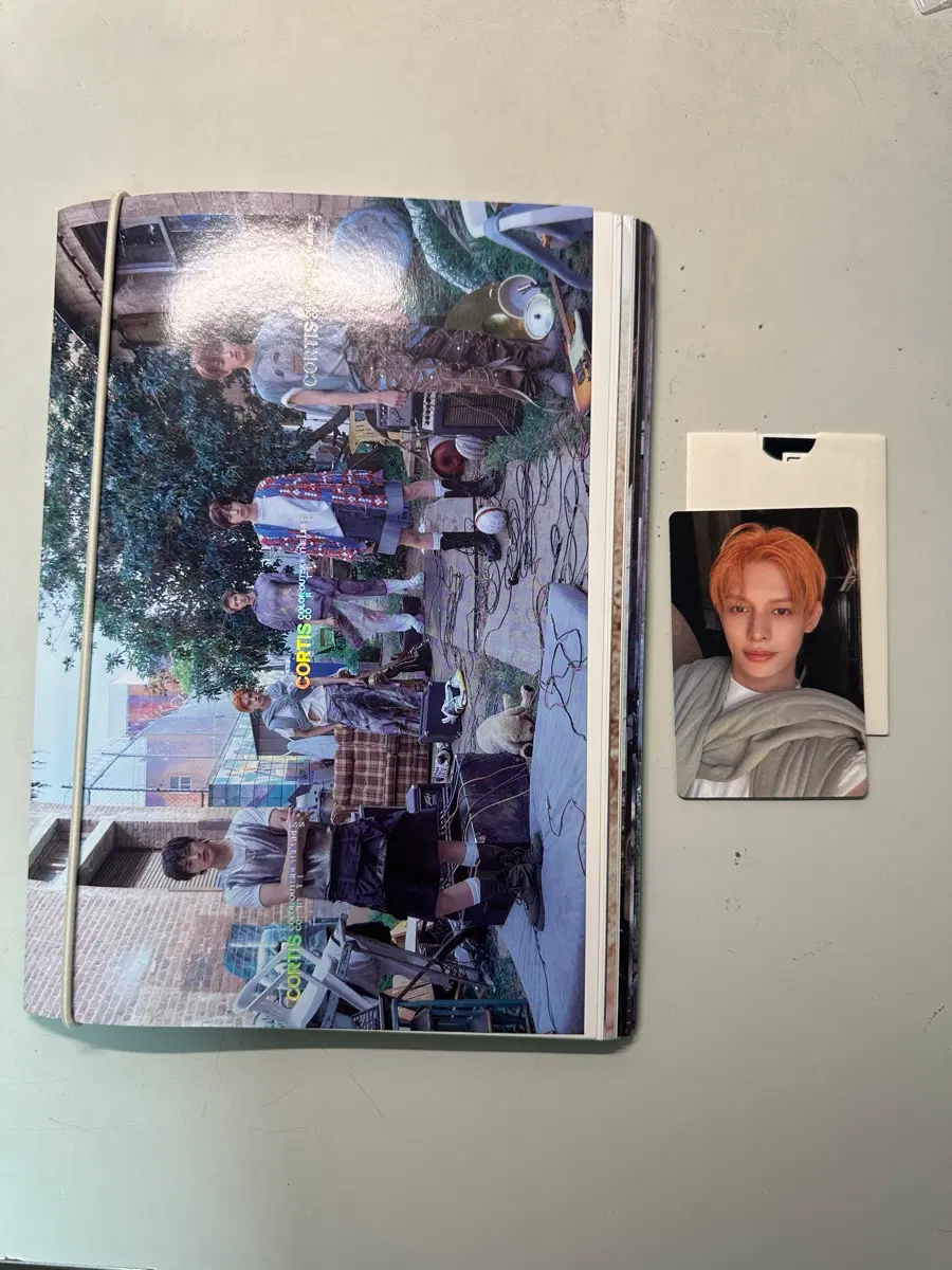 코르티스 앨범 포카