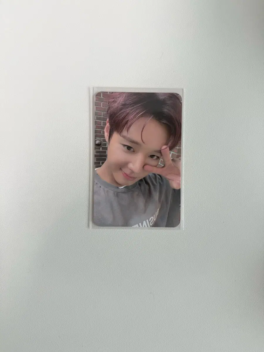 박지훈 더벤티 포카 판매해용