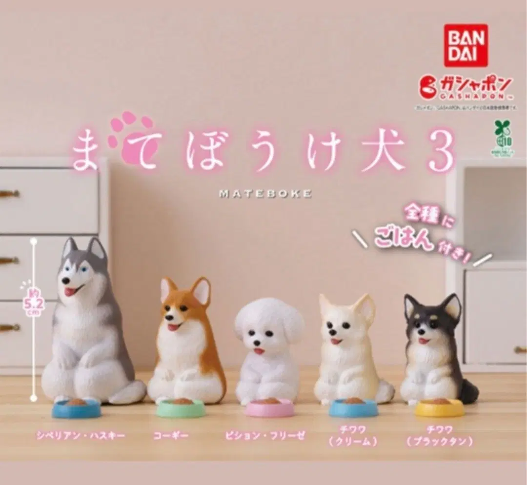 마치보우케 강아지 3탄