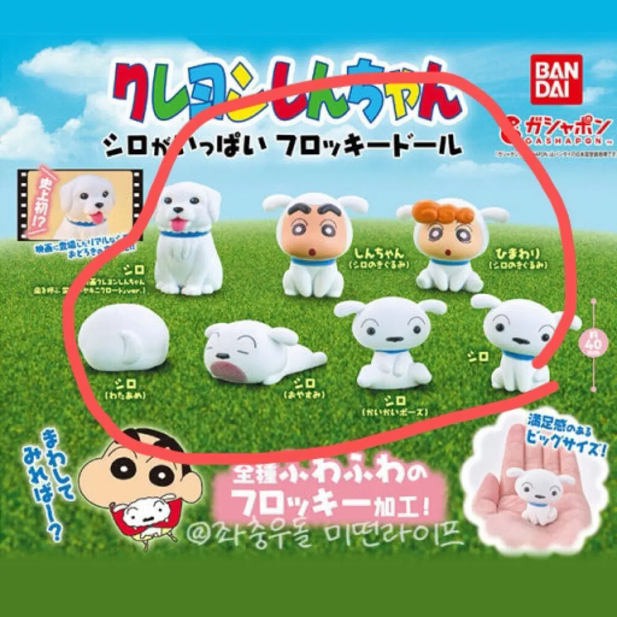 흰둥이 플로키 가챠 풀셋 개봉