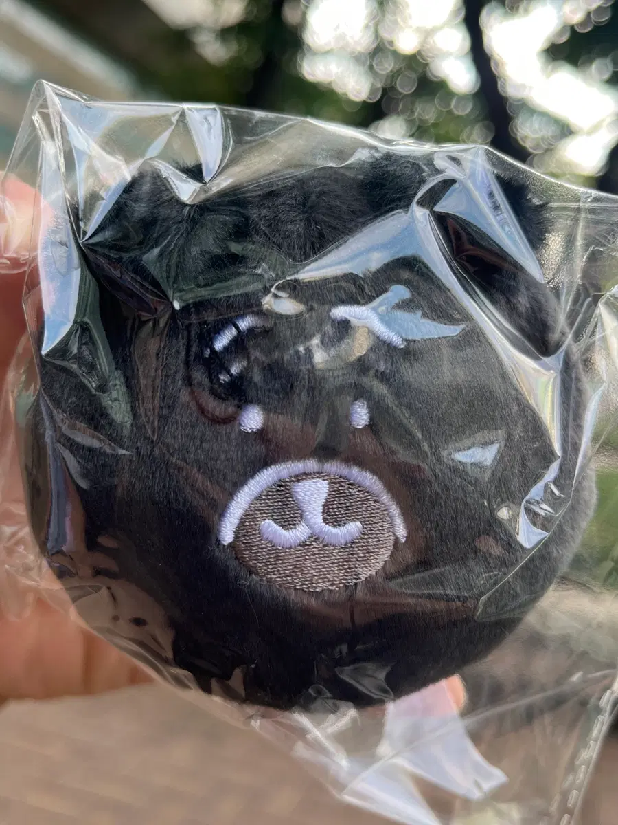 나가노 블랙 농담곰 투성이 쿠지 E상 오카오 마스코트 뱃지 인형 퍼그