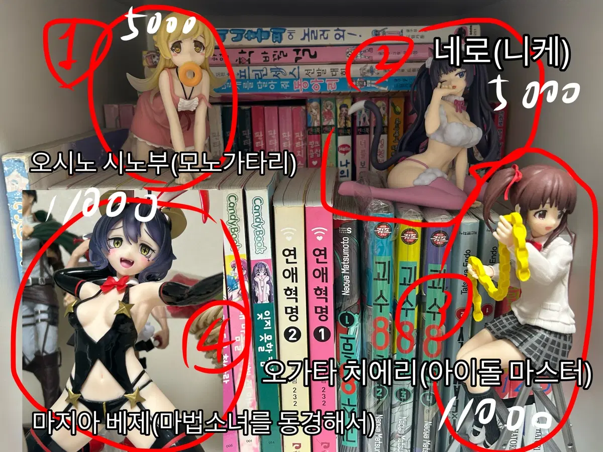 (상자0) 미소녀 피규어 개싸게 양도해요