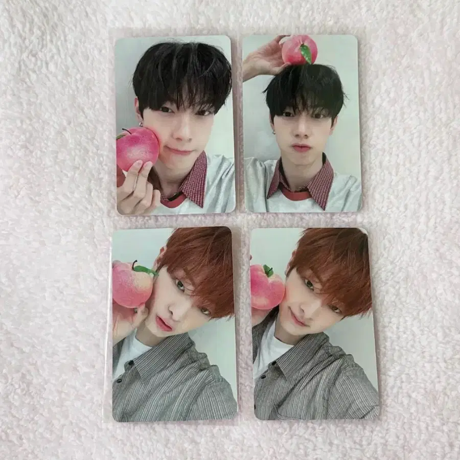 flareu 플레어유 최립우 강우진 미공포 포카 양도