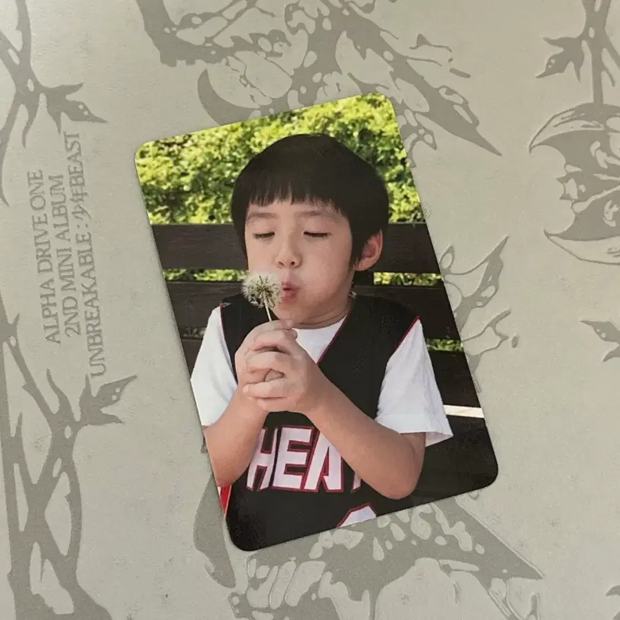 알디원 정상현 아기 히든포카