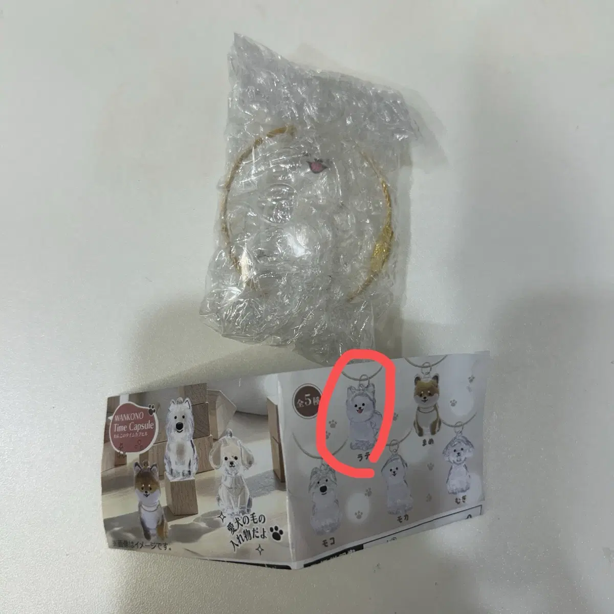 [양도/교환]완코노 타임캡슐 강아지 털 모으기 키링 가챠
