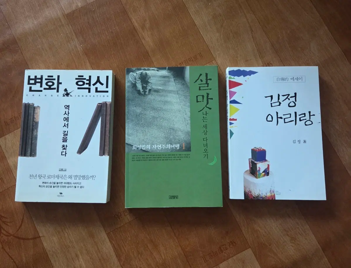변화 혁신 역사에서 길을 찾다 / 살맛나는 세상 다녀오기 / 김정 아리랑