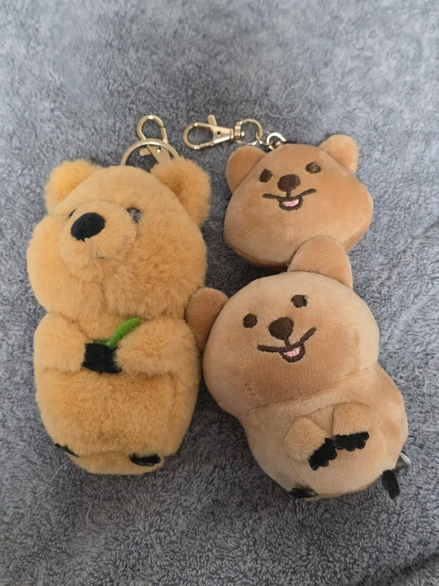 쿼카 인형 3개 일괄 (단순 진열)