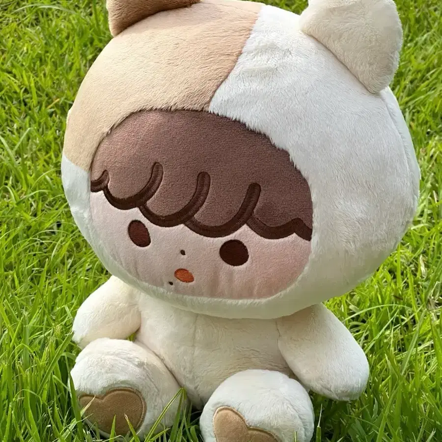 엔시티 지성 인형 왕뽀송이 다님