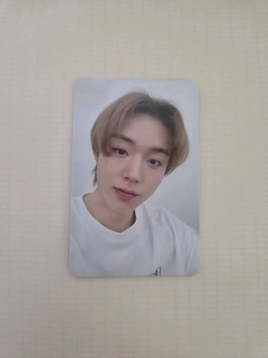 박지훈 blank or black kpop merch 미공포