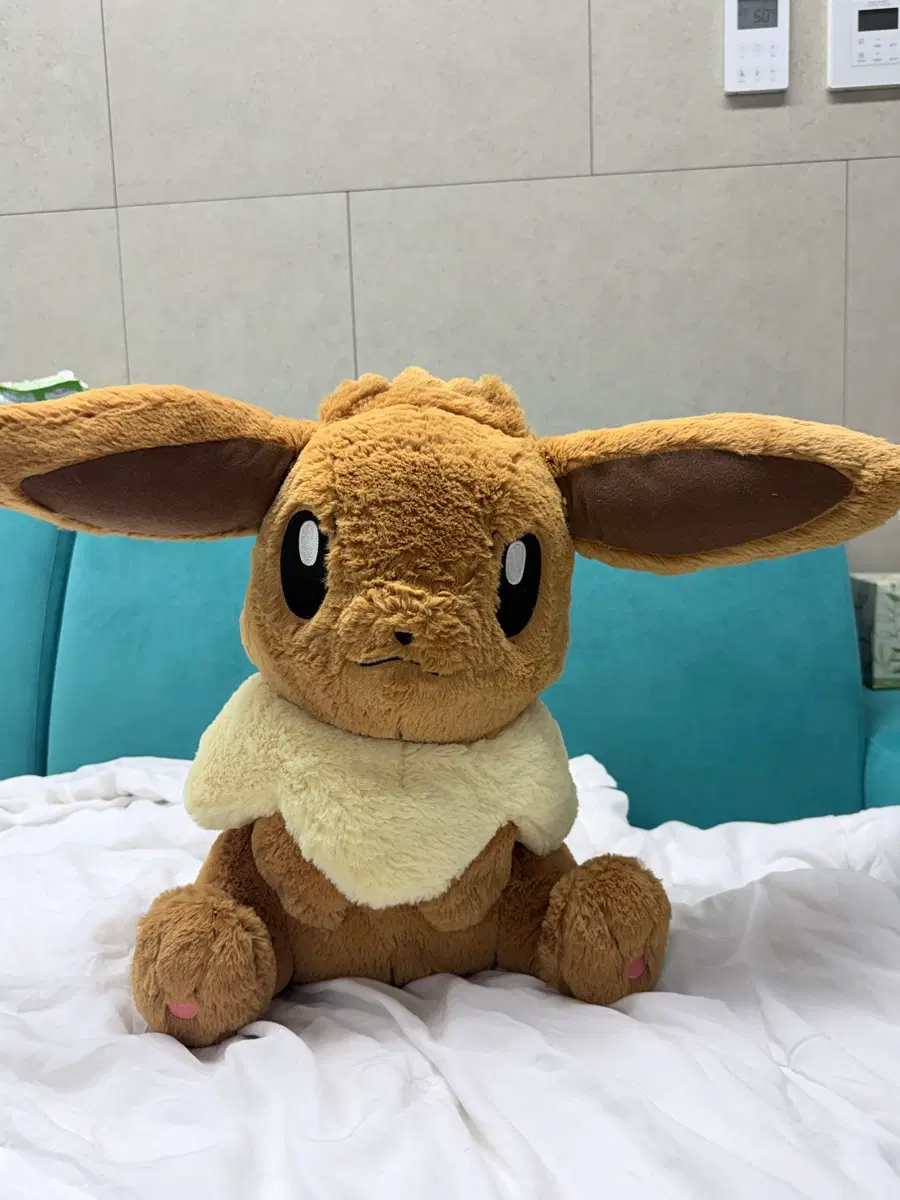 포켓몬스터 이브이 정품 인형