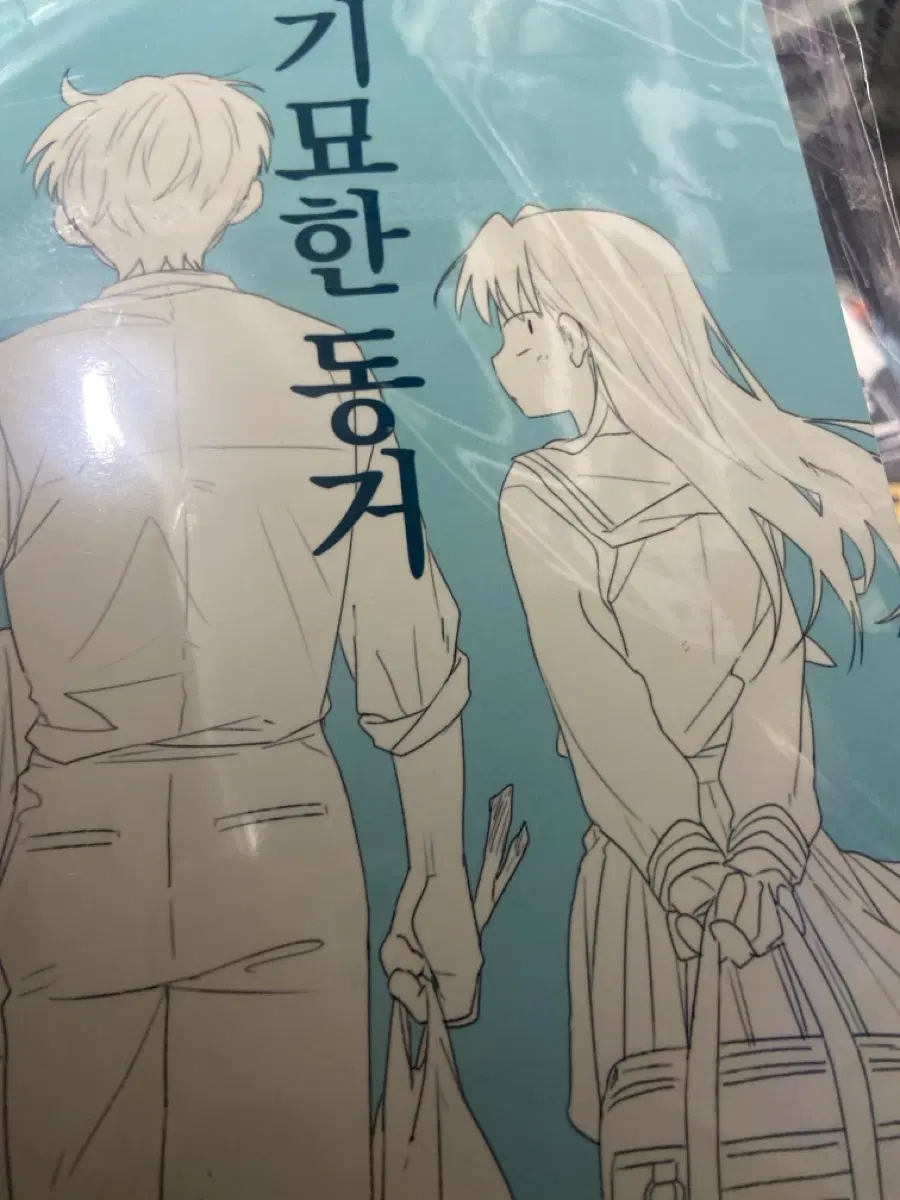 닌타마 회지