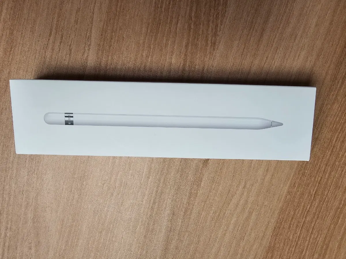Apple Pencial A1603(화이트)