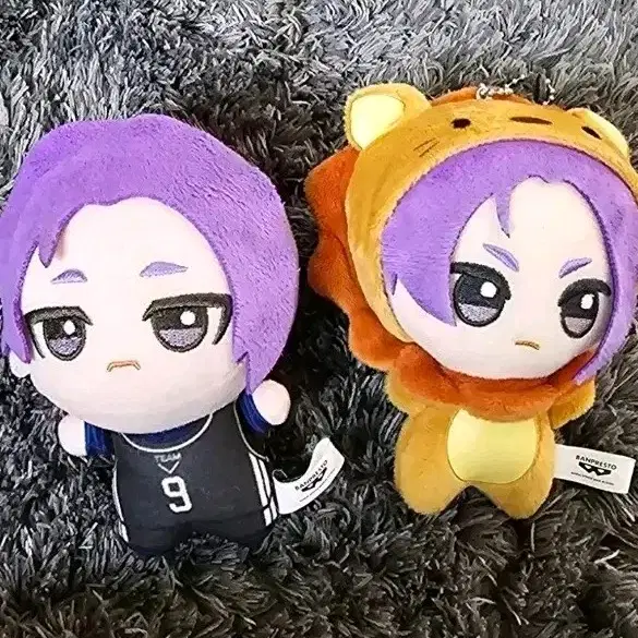 블루록 레오, 사자 누이