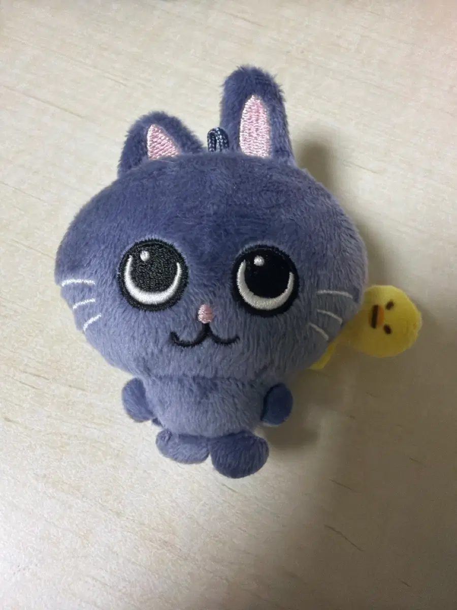 대두 토냥덕 원빈
