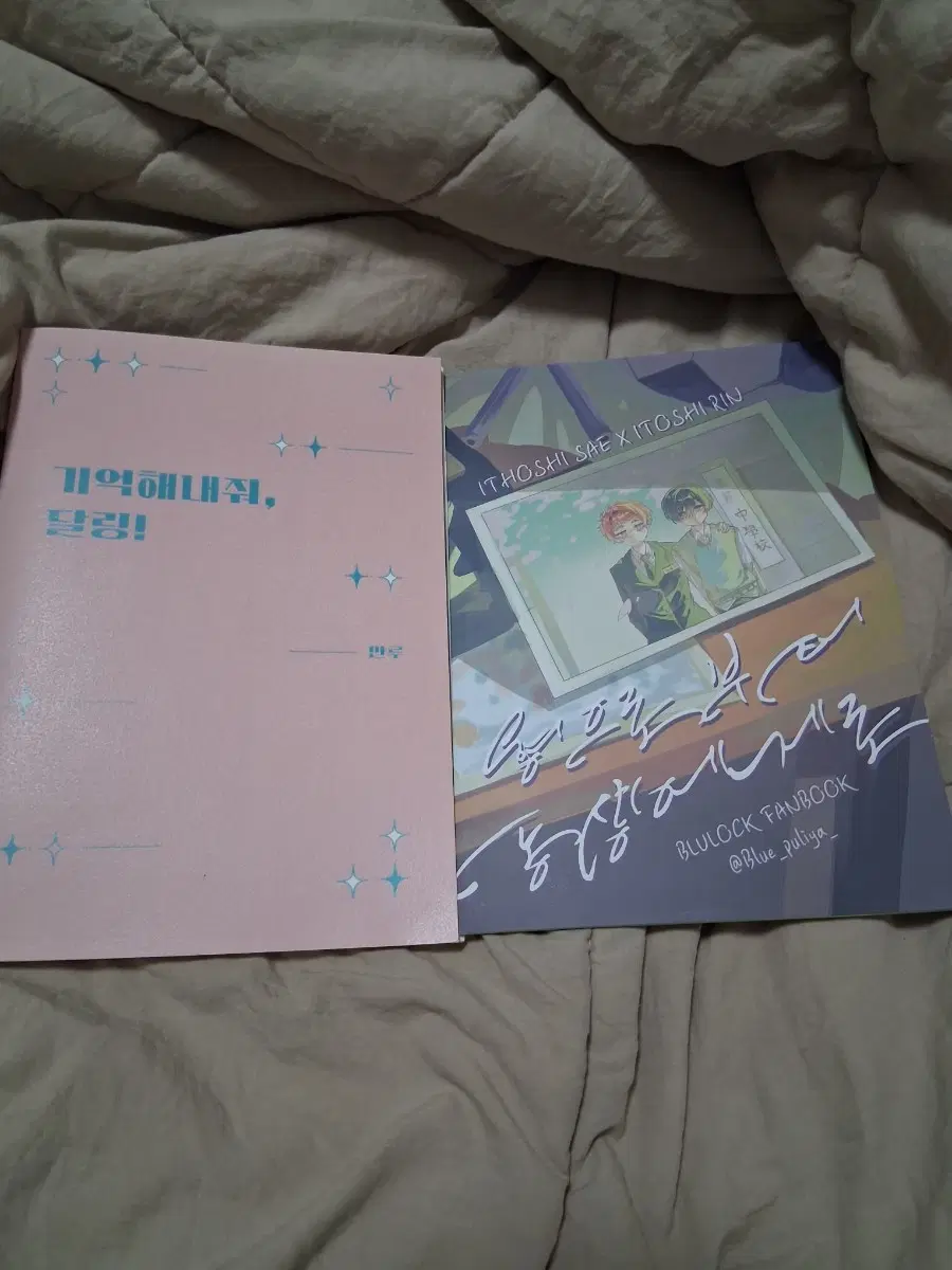 블루록 사에린 회지 일괄 판매