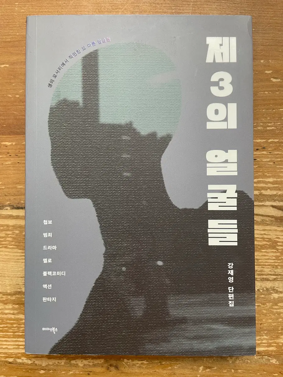 제3의 얼굴들 : 강재영 단편집