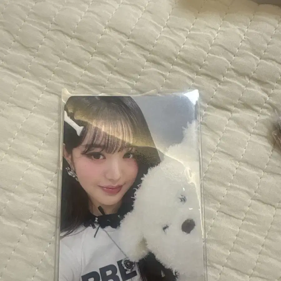 덤많음 아이브 장원영 포카 아이브 시크릿 포카 급처