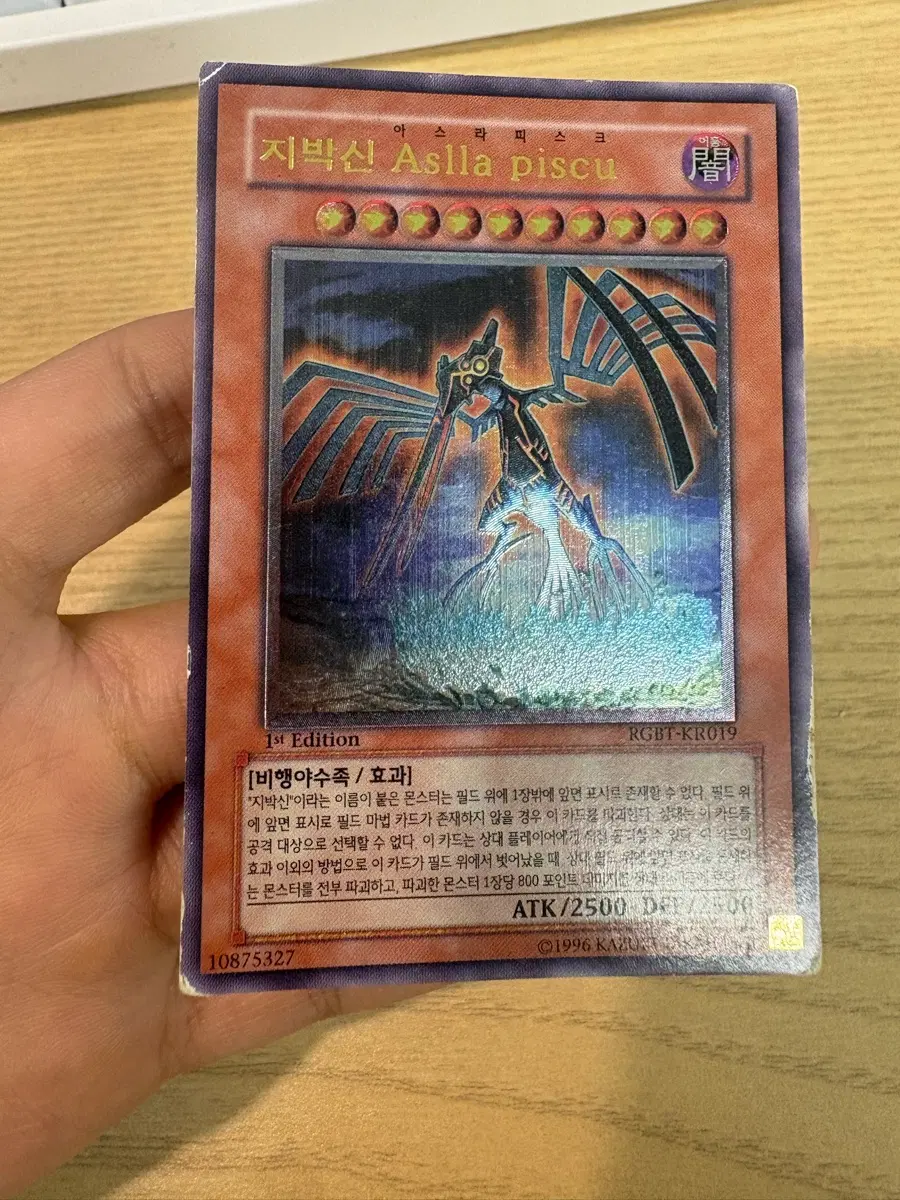 지박신 Aslla piscu(RGBT-KR019) 얼티 퍼에