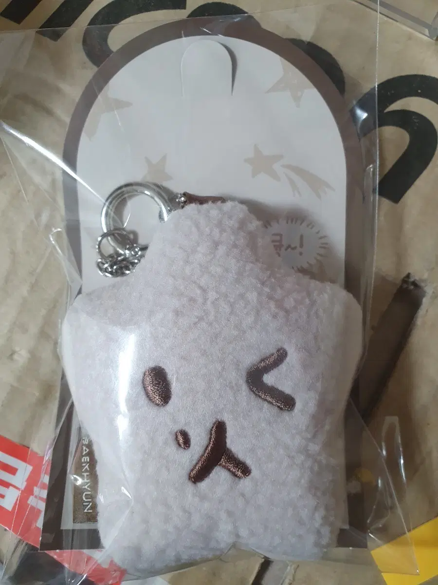엑소 백현 키링