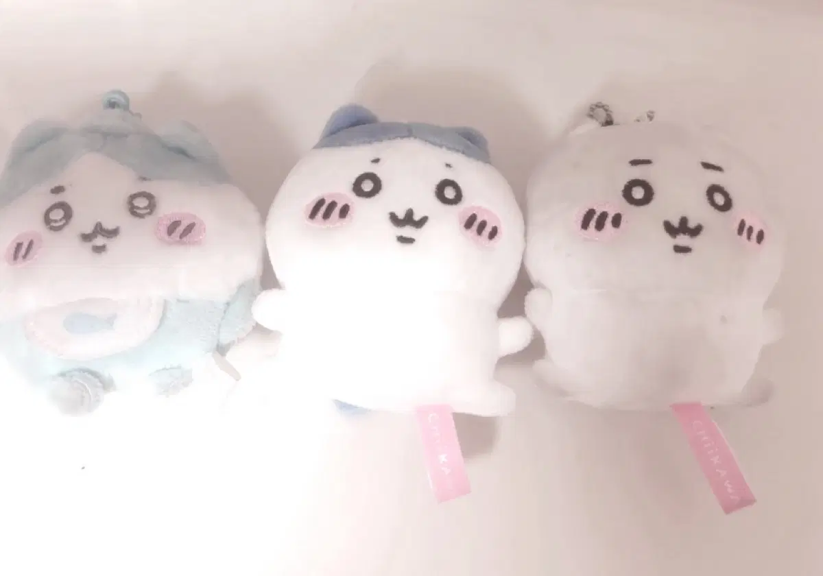 먼작귀 콩눈 베이비 하치와레 치이카와 판매
