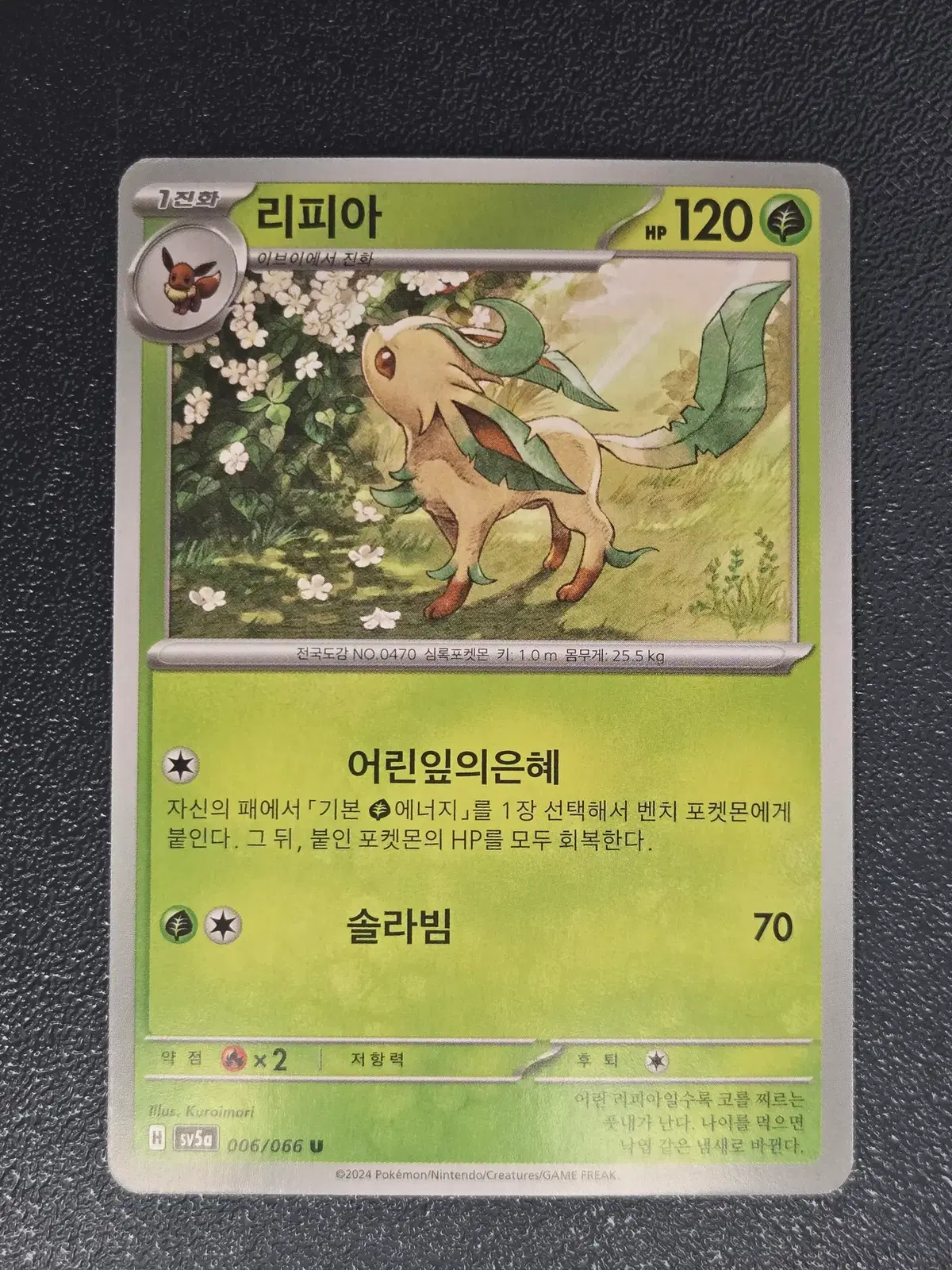 포켓몬카드 리피아 SV5a 006/066 U_1
