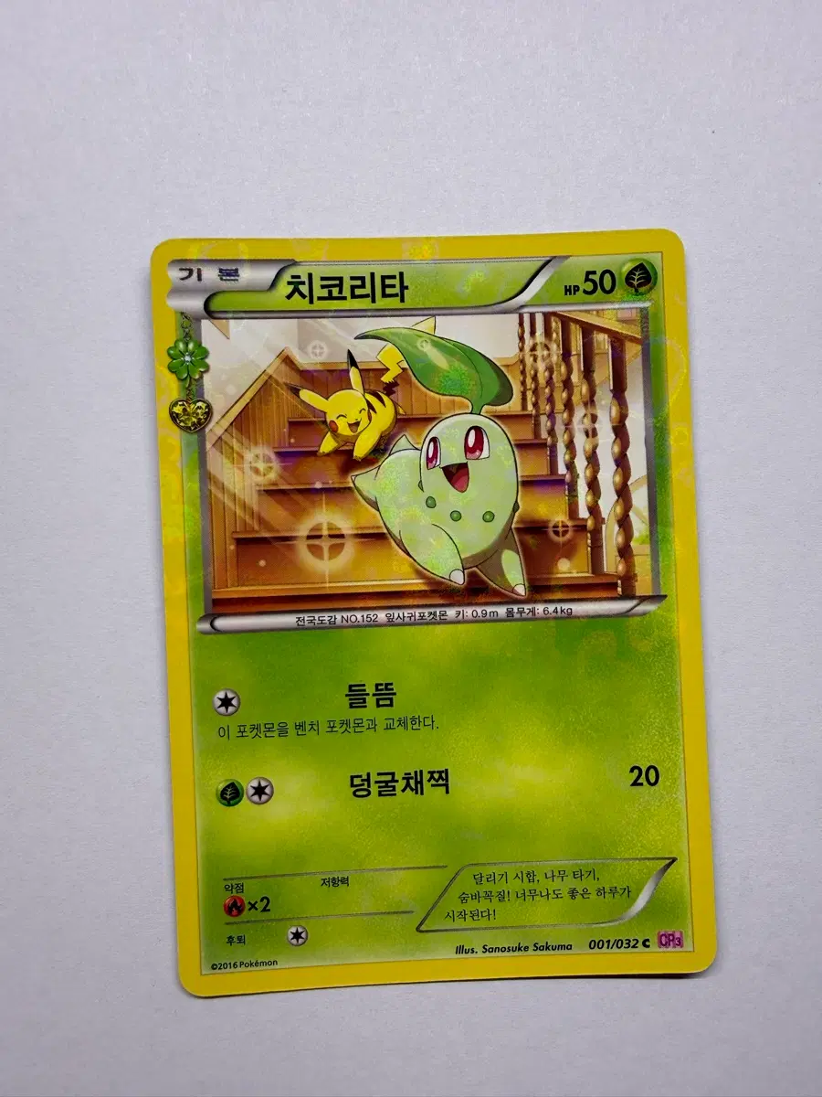 포켓심쿵 카드 치코리타