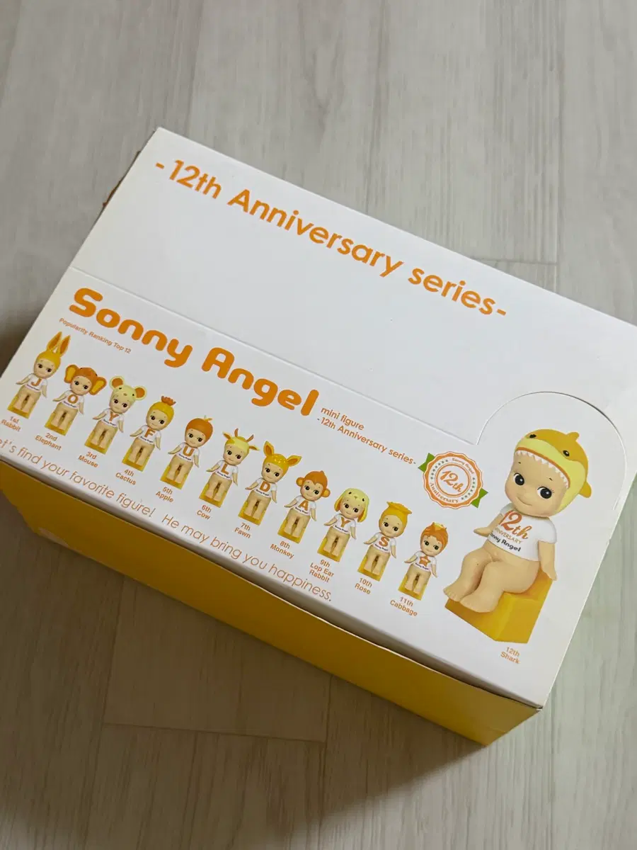 소니엔젤 12주년 12종 풀박스