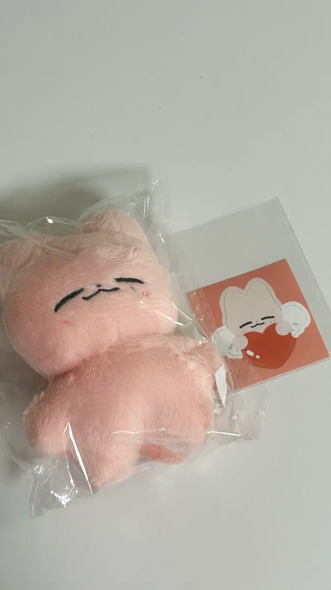 엔시티 재현 인형 잰냥이
