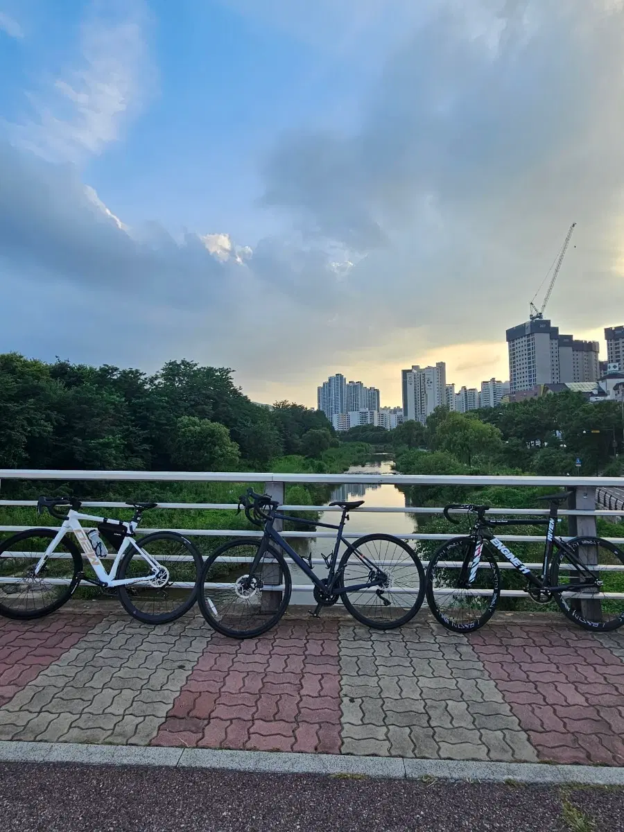 50만원 이하 60림, 88림 구함