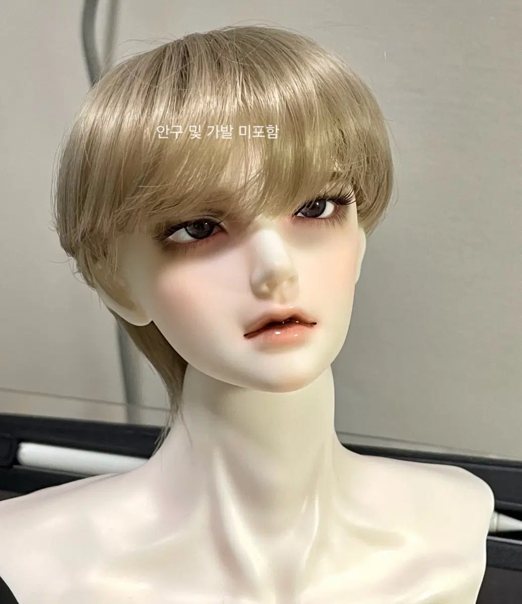 sd17급 미백 헤드)루츠 슈시델 주피터