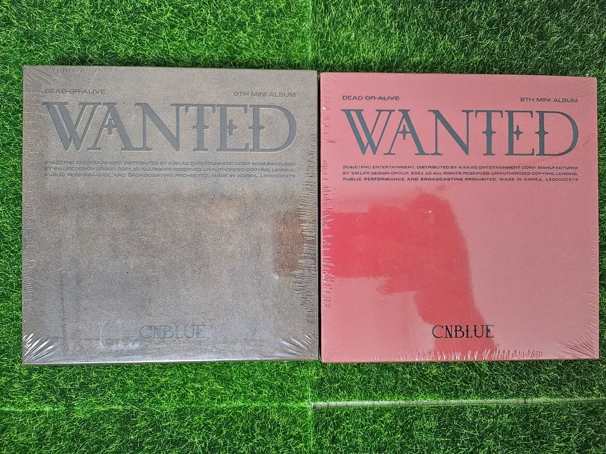 미개봉 CNBLUE WANTED 미니9집 씨엔블루2종일괄
