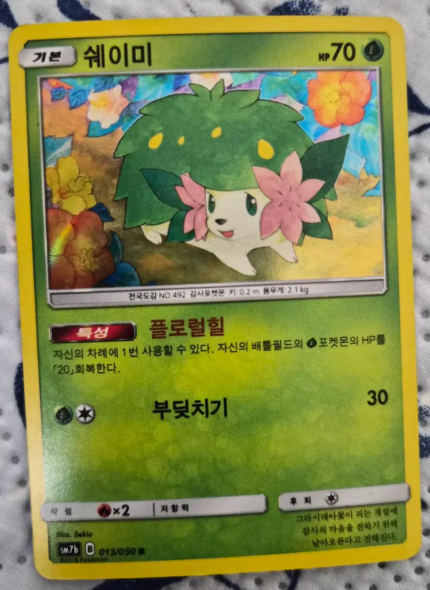포켓몬 쉐이미 카드