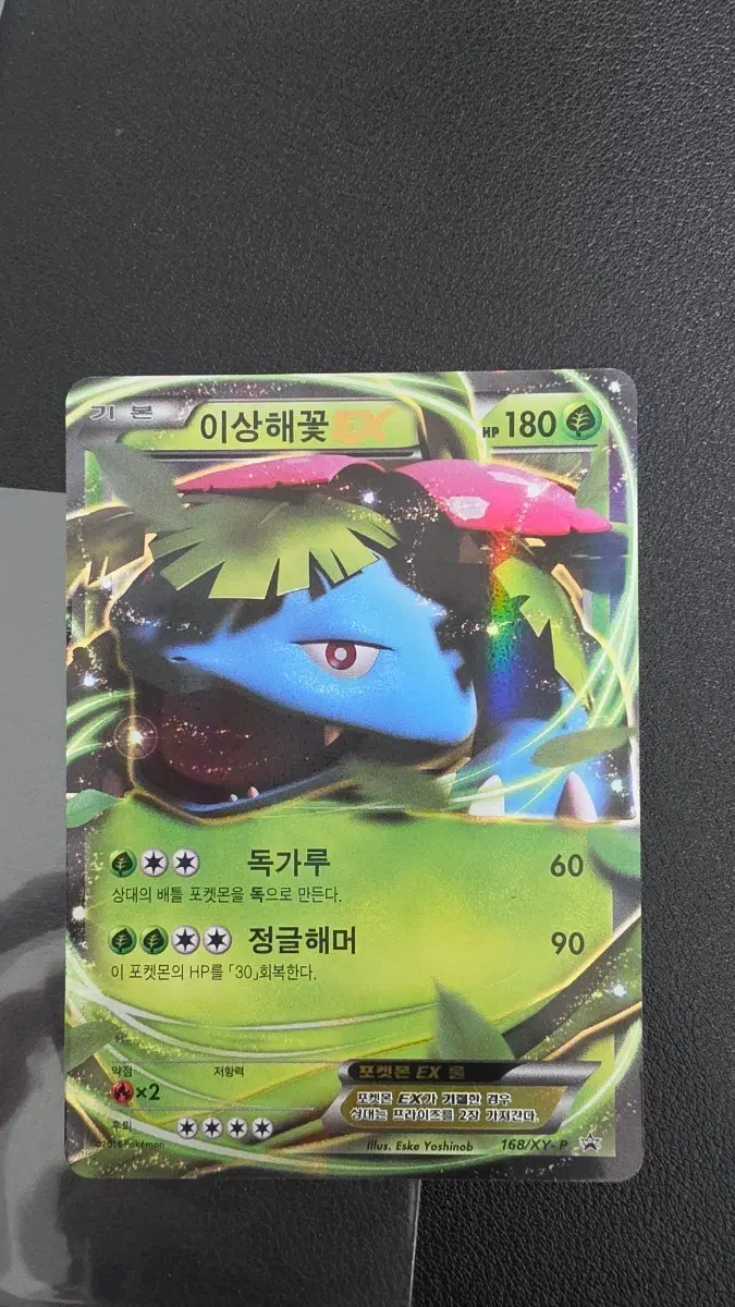 포켓몬 카드 이상해꽃 ex 프로모