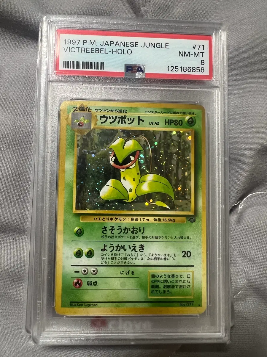 1997 포켓몬스터 일본판 정글 빅트라 psa8