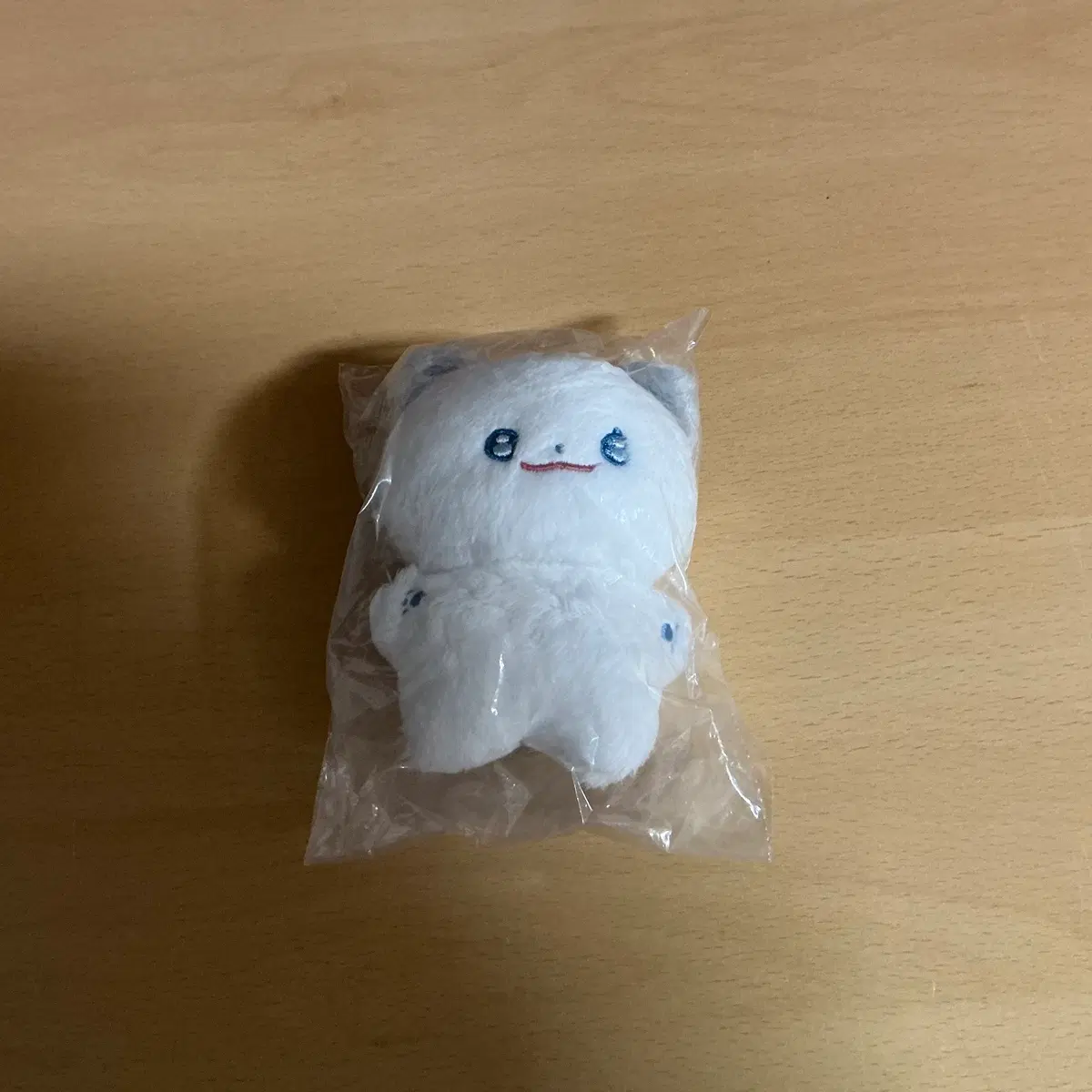 보넥도 성호 인형 박몽샴